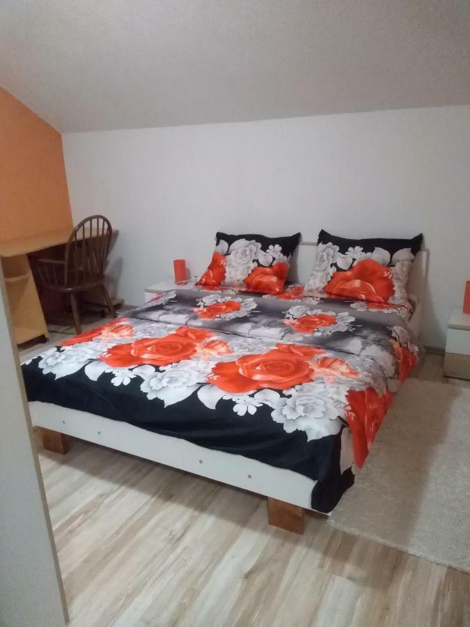 Apartment Franjicic Korenica