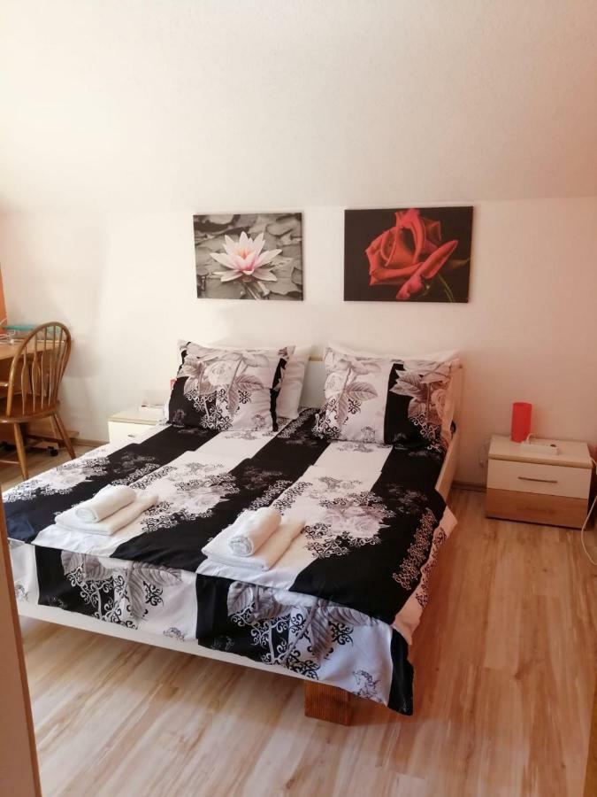 Franjicic Apartment